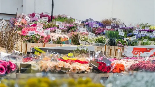 Erhvervslejemål til leje i Taastrup - billede 1