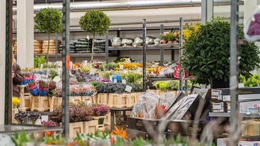 Erhvervslejemål til leje i Taastrup - billede 1